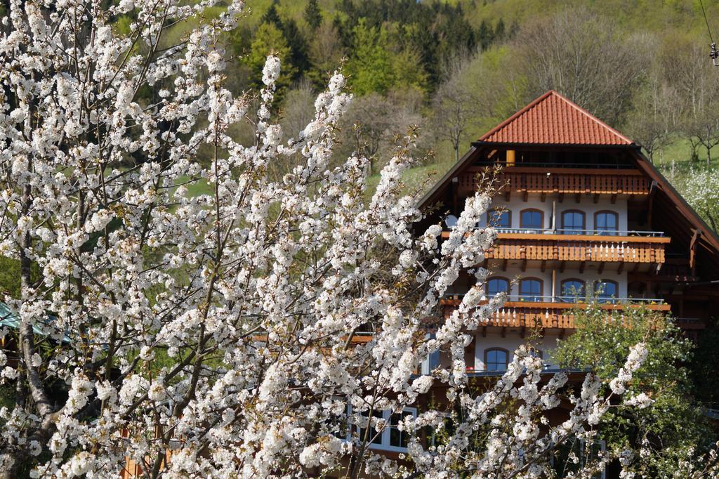 Aparthotel Ehrenmattlehof Faisst Bad Peterstal-Griesbach Pokój zdjęcie