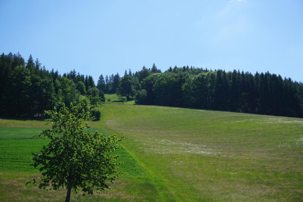 Aparthotel Ehrenmattlehof Faisst Bad Peterstal-Griesbach Zewnętrze zdjęcie