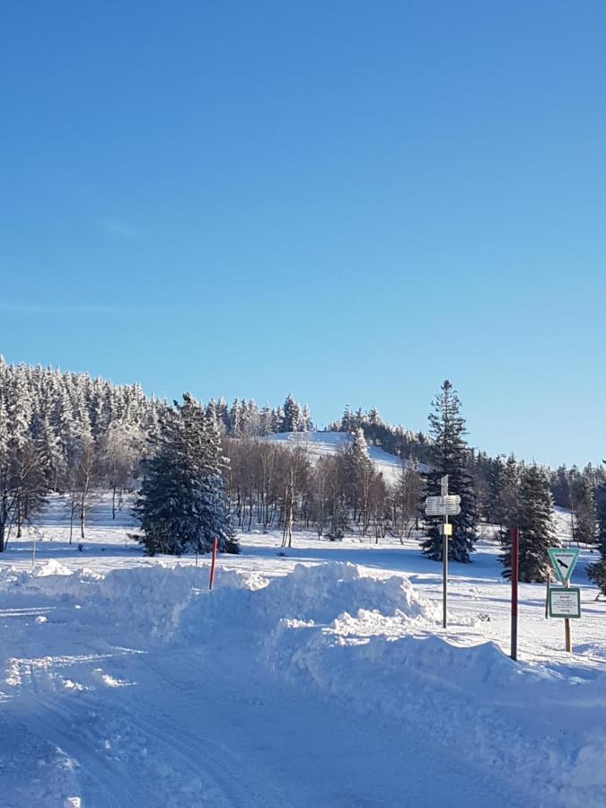 Aparthotel Ehrenmattlehof Faisst Bad Peterstal-Griesbach Zewnętrze zdjęcie