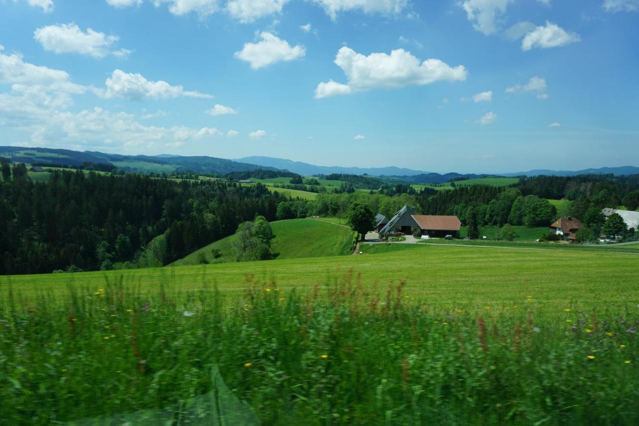 Aparthotel Ehrenmattlehof Faisst Bad Peterstal-Griesbach Zewnętrze zdjęcie