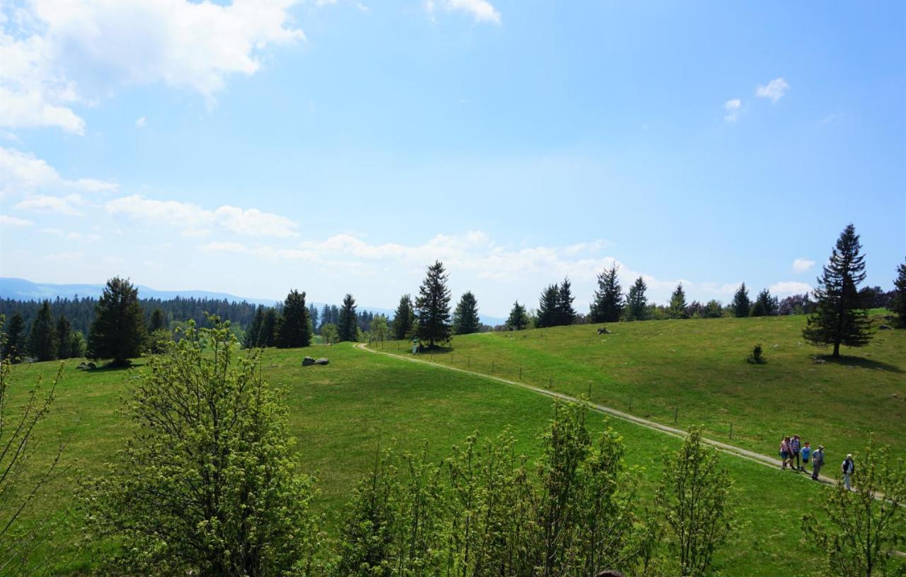 Aparthotel Ehrenmattlehof Faisst Bad Peterstal-Griesbach Zewnętrze zdjęcie