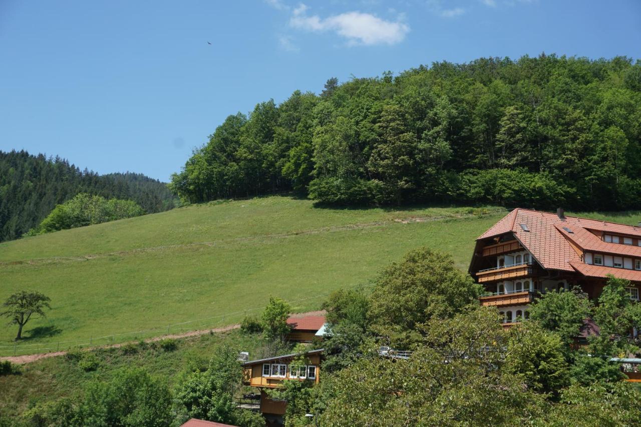 Aparthotel Ehrenmattlehof Faisst Bad Peterstal-Griesbach Zewnętrze zdjęcie